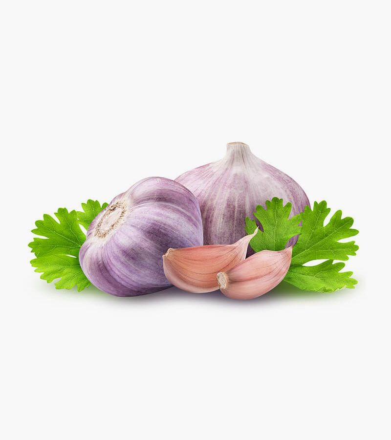 Purple Garlic 500g 177 EatsyFarm