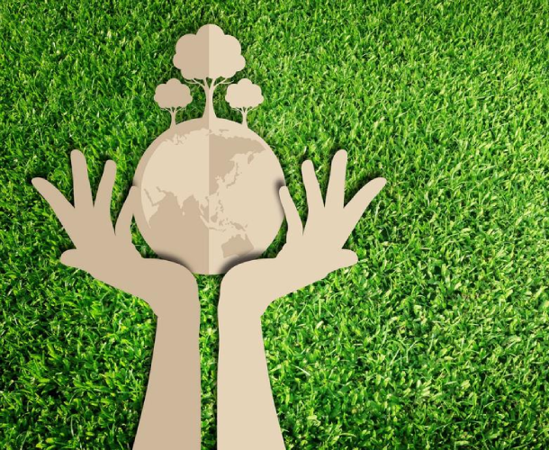 banner-go-green-business