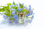 shop-EssentialOil-04